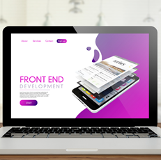 Fronted Developer